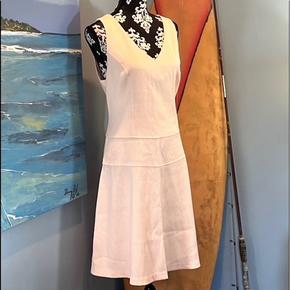 Lark & Ro Peach Pink Textured V Neck Fit Flare Church Brunch Dress Lined Size 12 - Picture 9 of 10